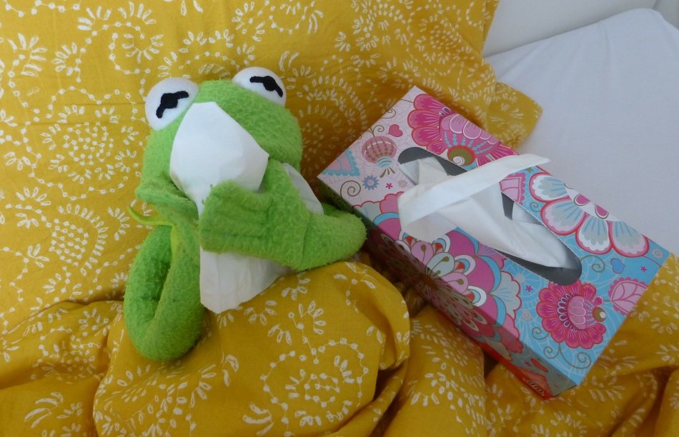 Wat gebeurt er als je ziek bent tijdens de eindexamens? | SSL Leiden